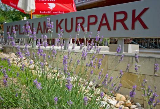 Отель Kaplan Am Kurpark Бад-Тацмансдорф Экстерьер фото